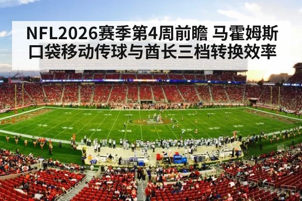 NFL stadium crowd night game