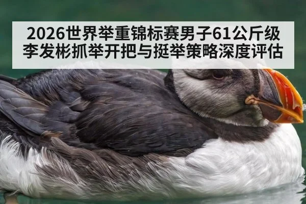 2026世界举重锦标赛男子61公斤级李发彬抓举开把与挺举策略深度评估